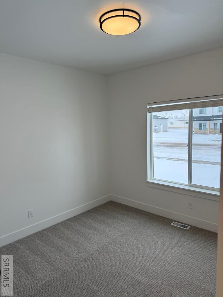 146 North Hailey Crk Avenue Rigby, ID 83442 - Photo 25 of 39