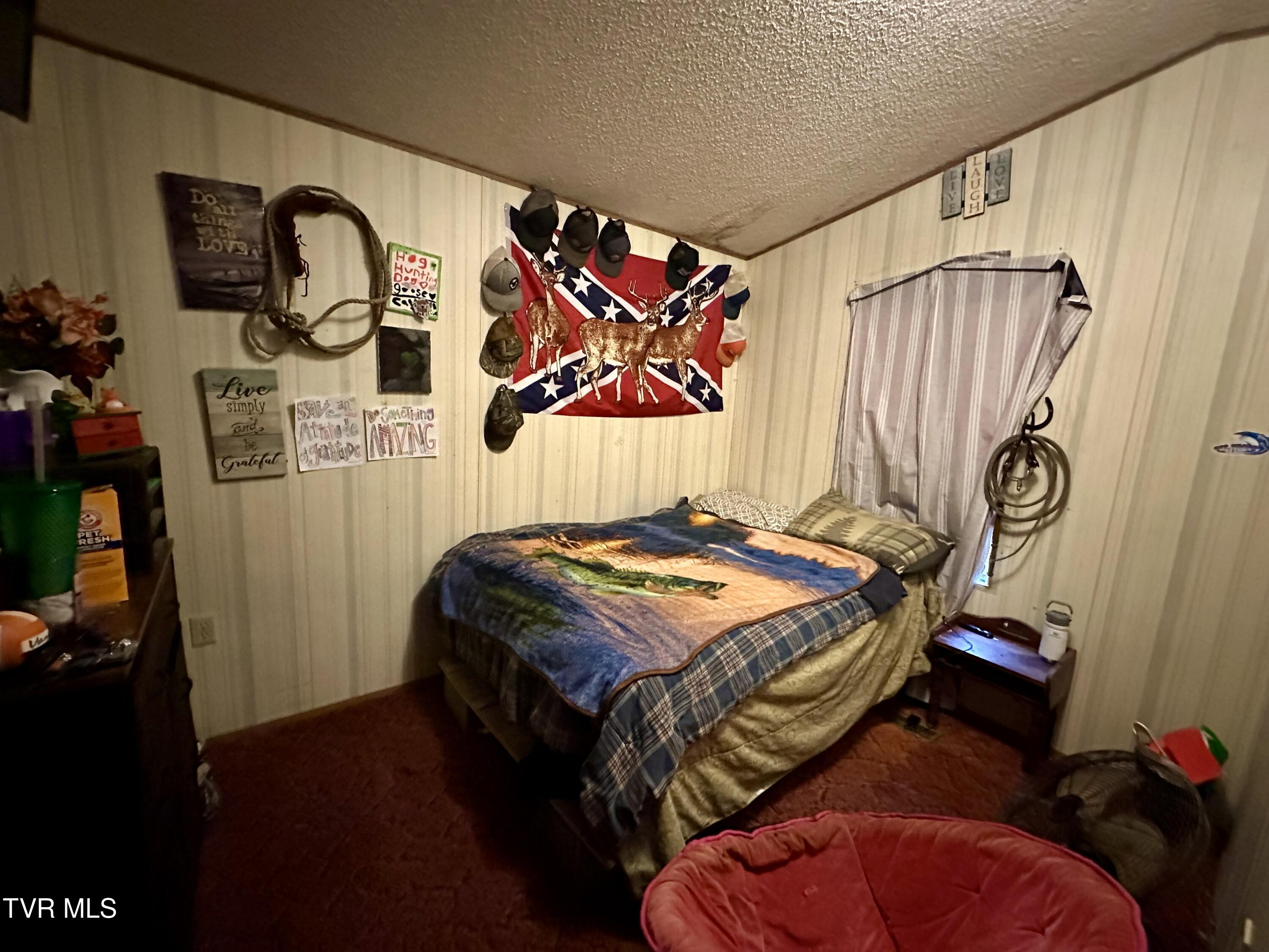 8500 Old Stage Road Limestone, TN 37681 - Photo 13 of 21 13