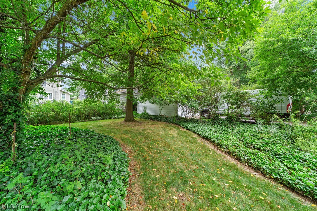 3030 East Overlook Road Cleveland, OH 44118 - Photo 23 of 24 View of yard