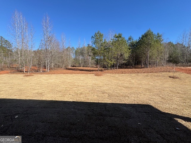 230 Tattersall Way Senoia, GA 30276 - Photo 2 of 3