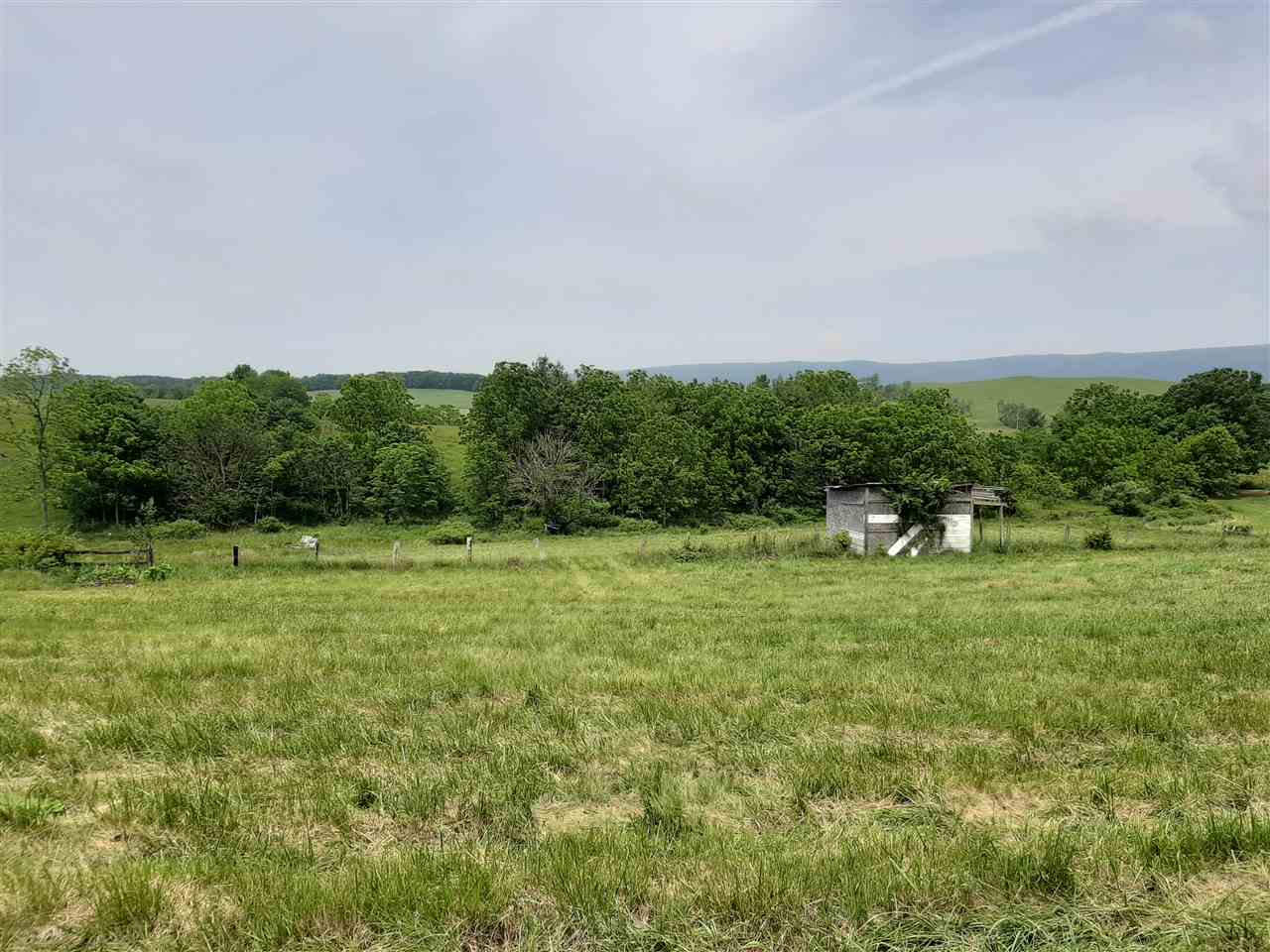 227 Cherry Grove Road Middlebrook, VA 24459 - Photo 1 of 15 a big yard with lots of green space and deers