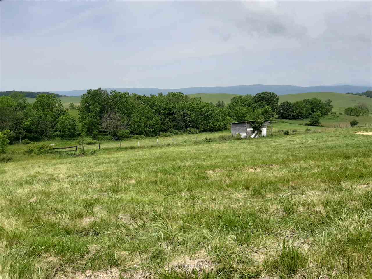 227 Cherry Grove Road Middlebrook, VA 24459 - Photo 4 of 15 a big yard with lots of green space and deers