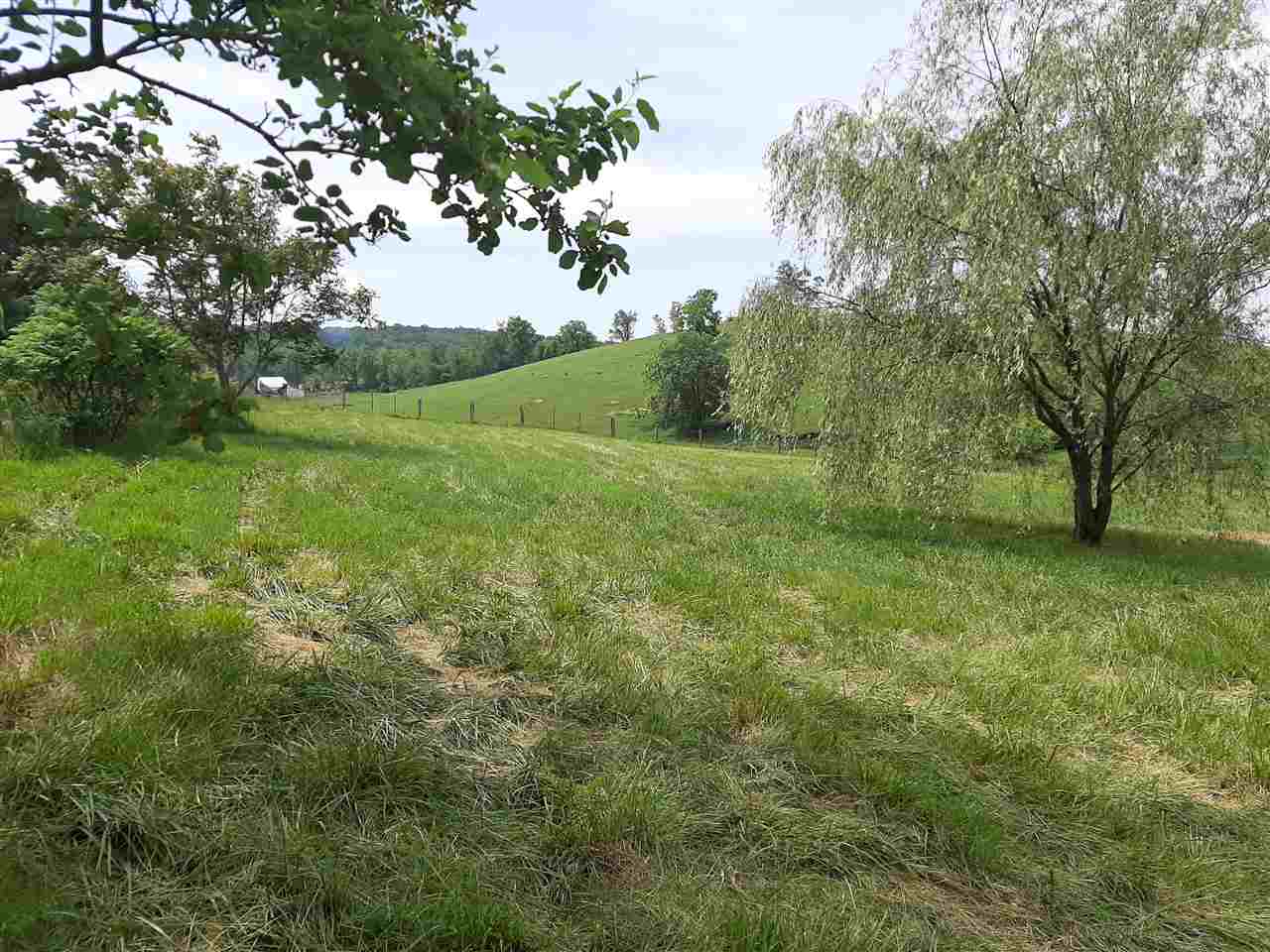 227 Cherry Grove Road Middlebrook, VA 24459 - Photo 9 of 15 a view of field with large trees