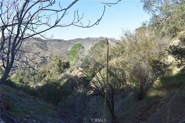 $45,000 | 29935 Hickory Drive, Cedar Glen, CA 92321