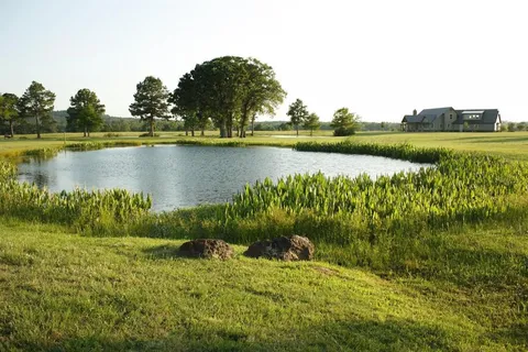 $562,500 | 14244 Caddo Creek Circle, Larue, TX 75770