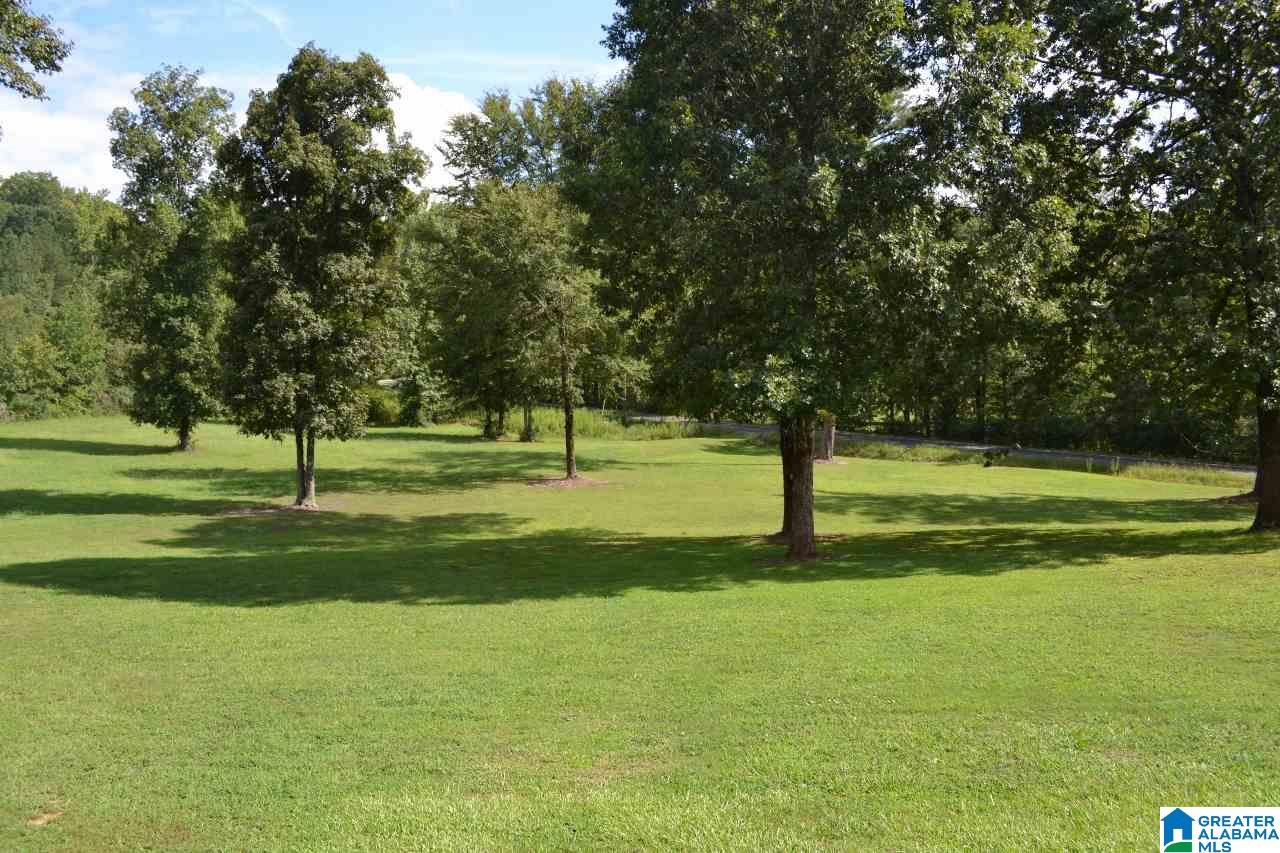 1651 Brookside Coalburg Road Mount Olive, AL 35117 - Photo 14 of 20