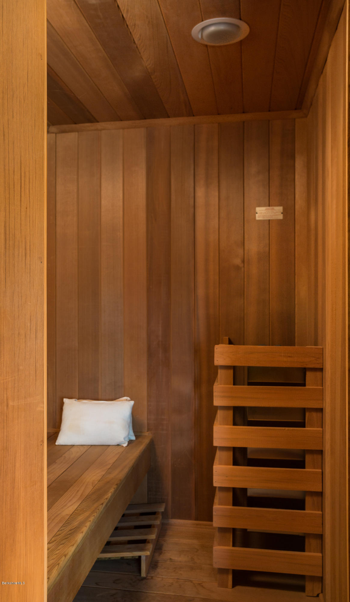 215 Devon Road Lee, MA 01238 - Photo 25 of 59 Sauna