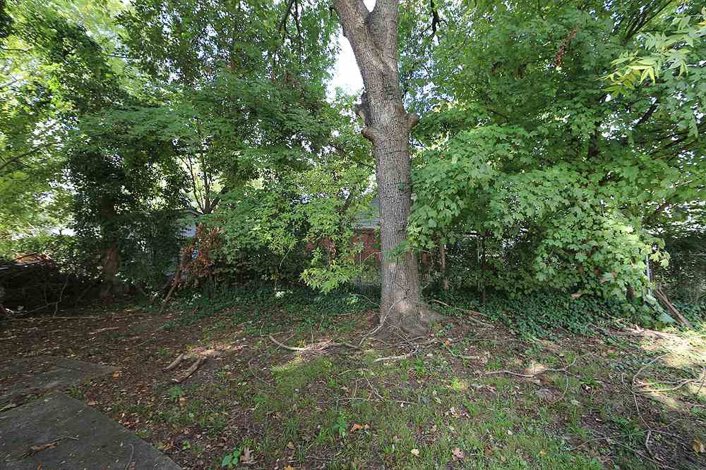 206 South Pettigrew Street Raleigh, NC 27610 - Photo 13 of 13 Photo 13