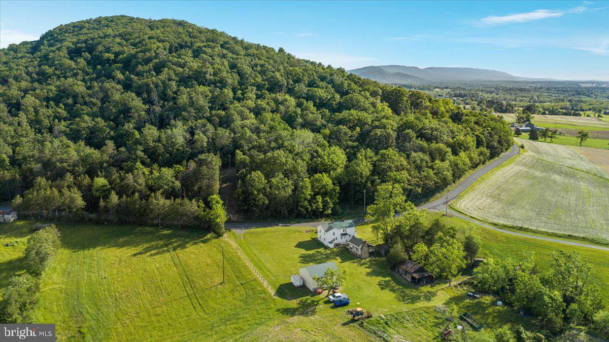 368 Ridge Hollow Road Edinburg, VA 22824 - Photo 100 of 145