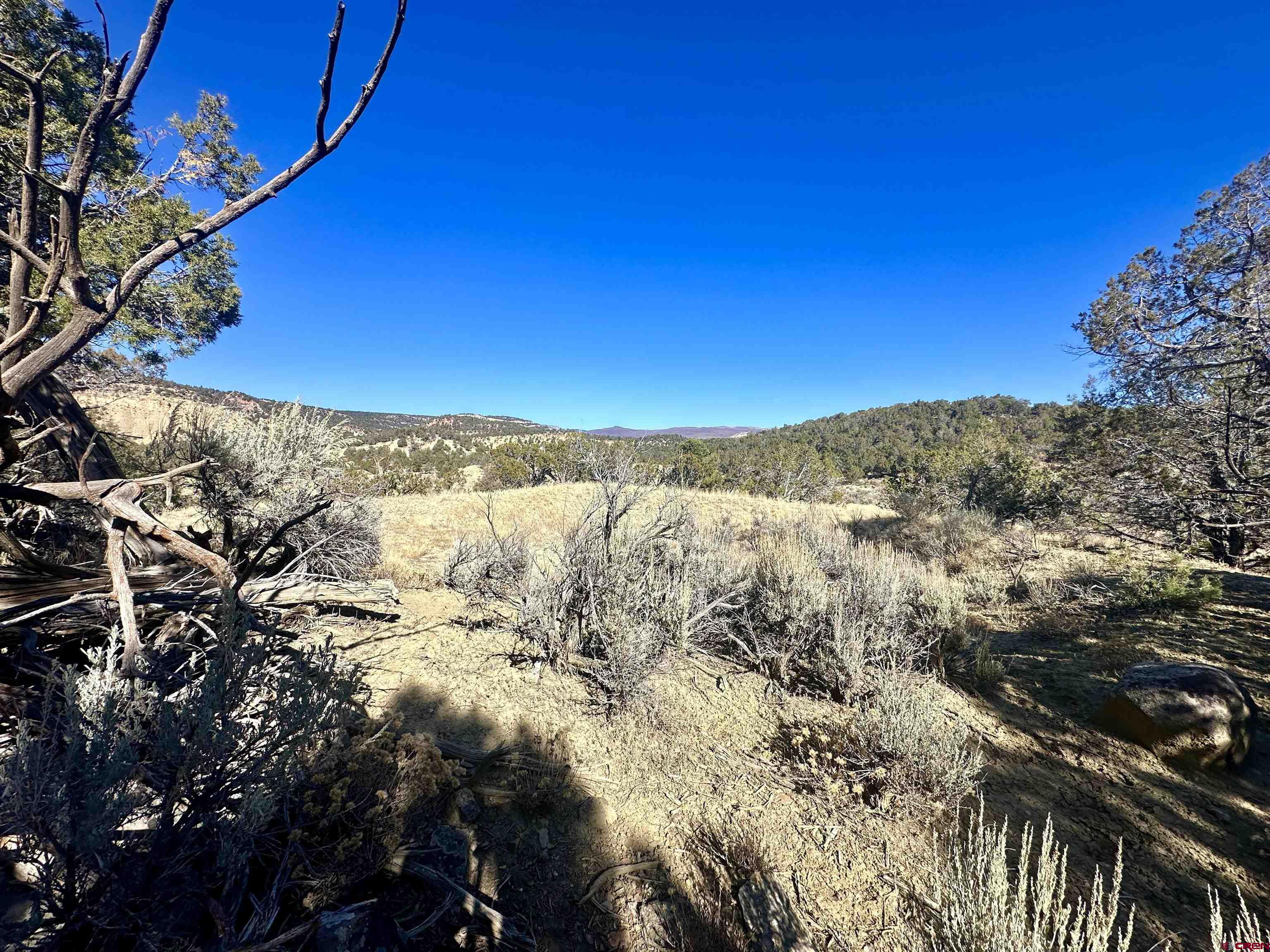 Tbd Cactus Park Road Cedaredge, CO 81413 - Photo 1 of 16 a view of mountain view with sky