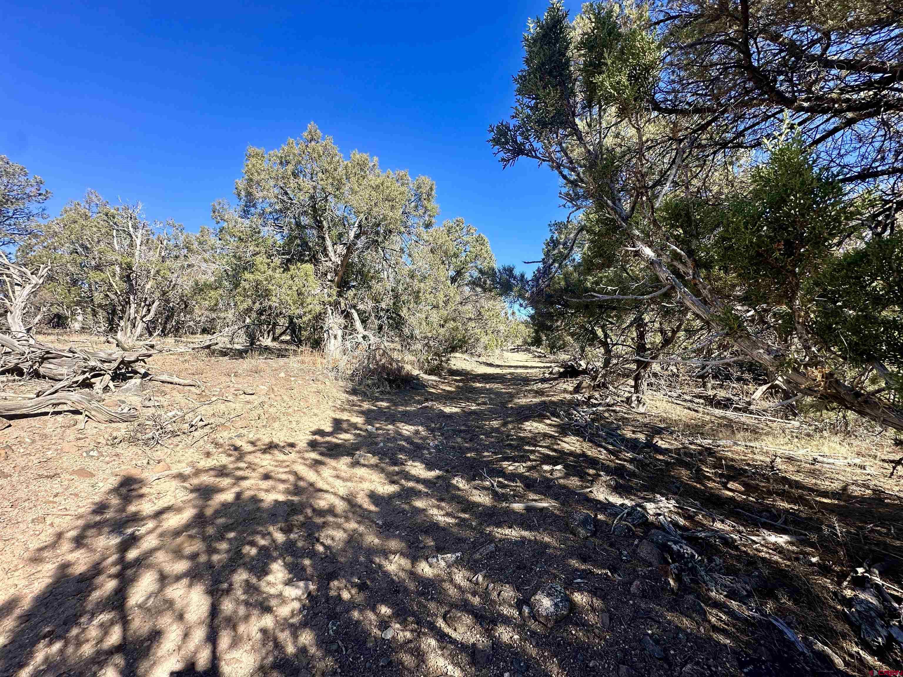 Tbd Cactus Park Road Cedaredge, CO 81413 - Photo 13 of 16 a view of snow on green field