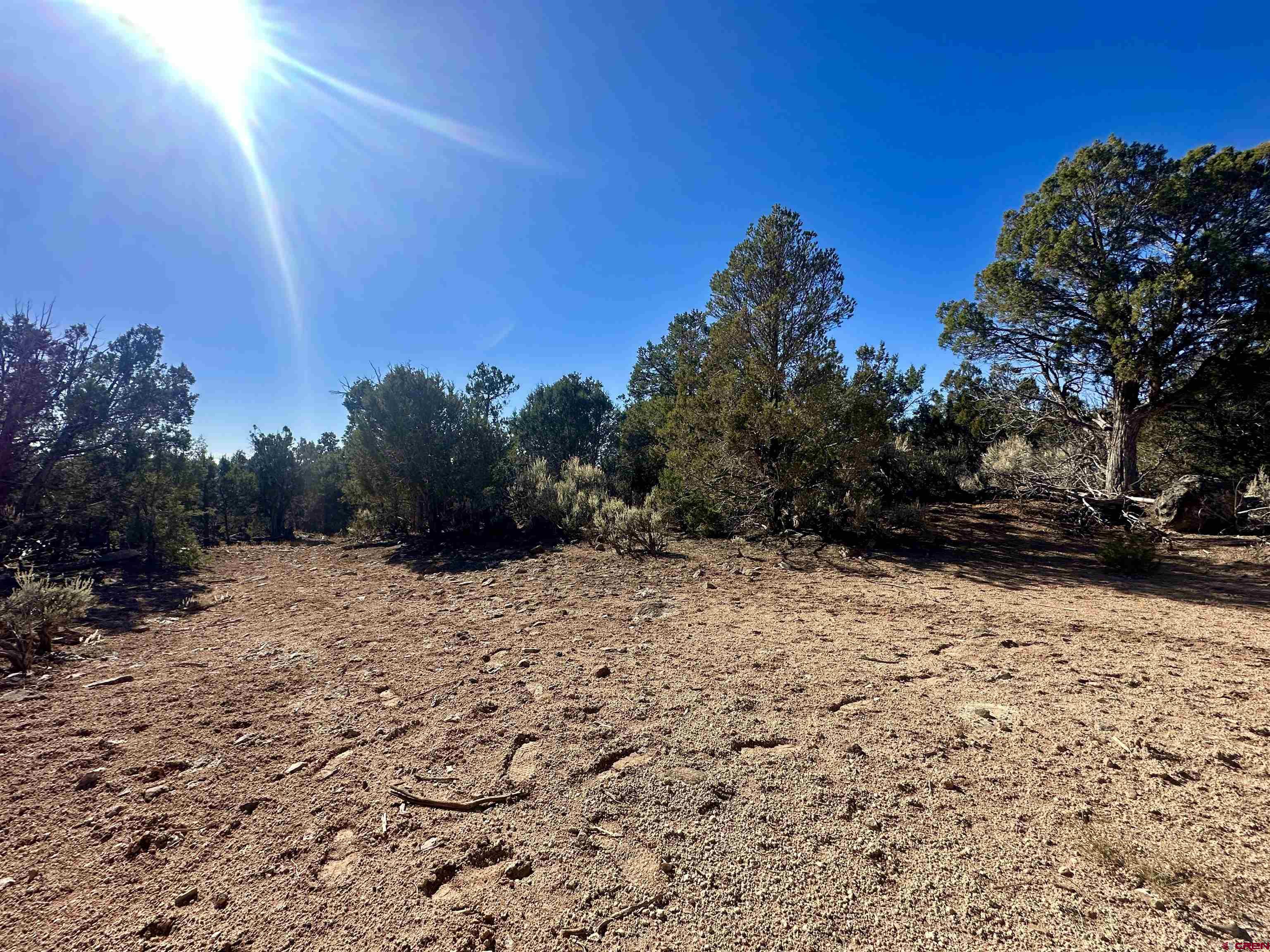 Tbd Cactus Park Road Cedaredge, CO 81413 - Photo 14 of 16 a view of a yard with a tree