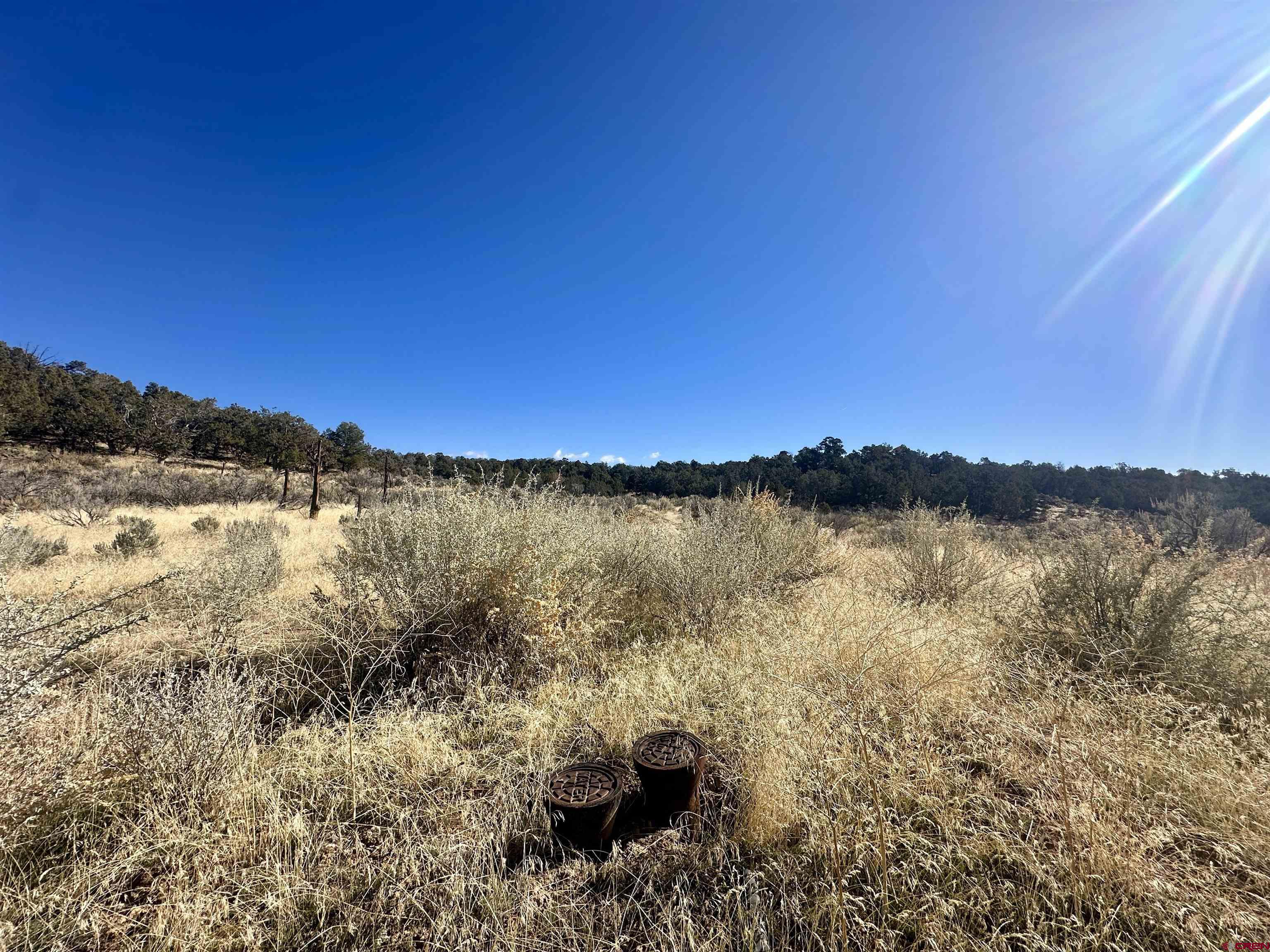 Tbd Cactus Park Road Cedaredge, CO 81413 - Photo 4 of 16 a view of lake and mountain