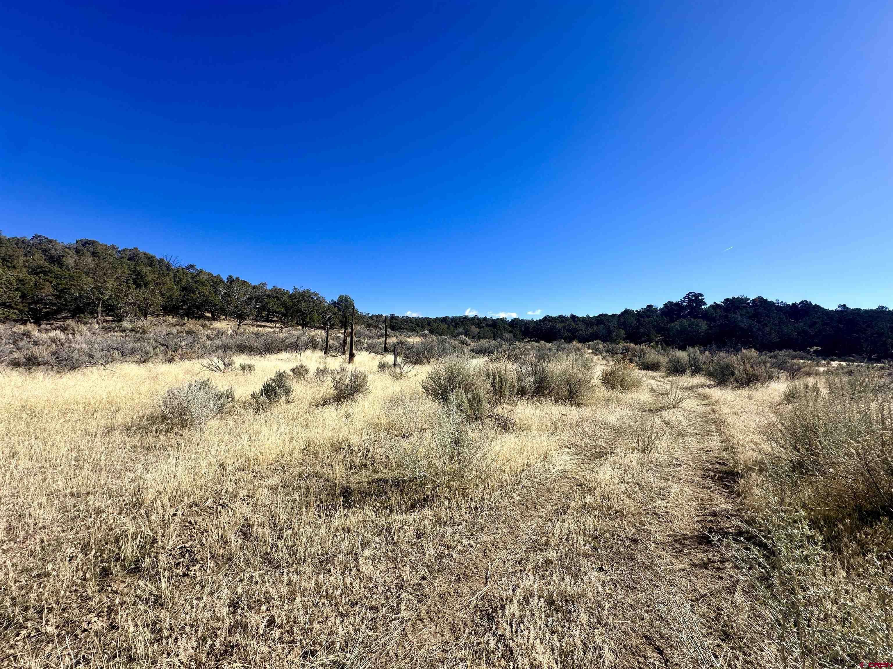 Tbd Cactus Park Road Cedaredge, CO 81413 - Photo 5 of 16 a view of lake and mountain