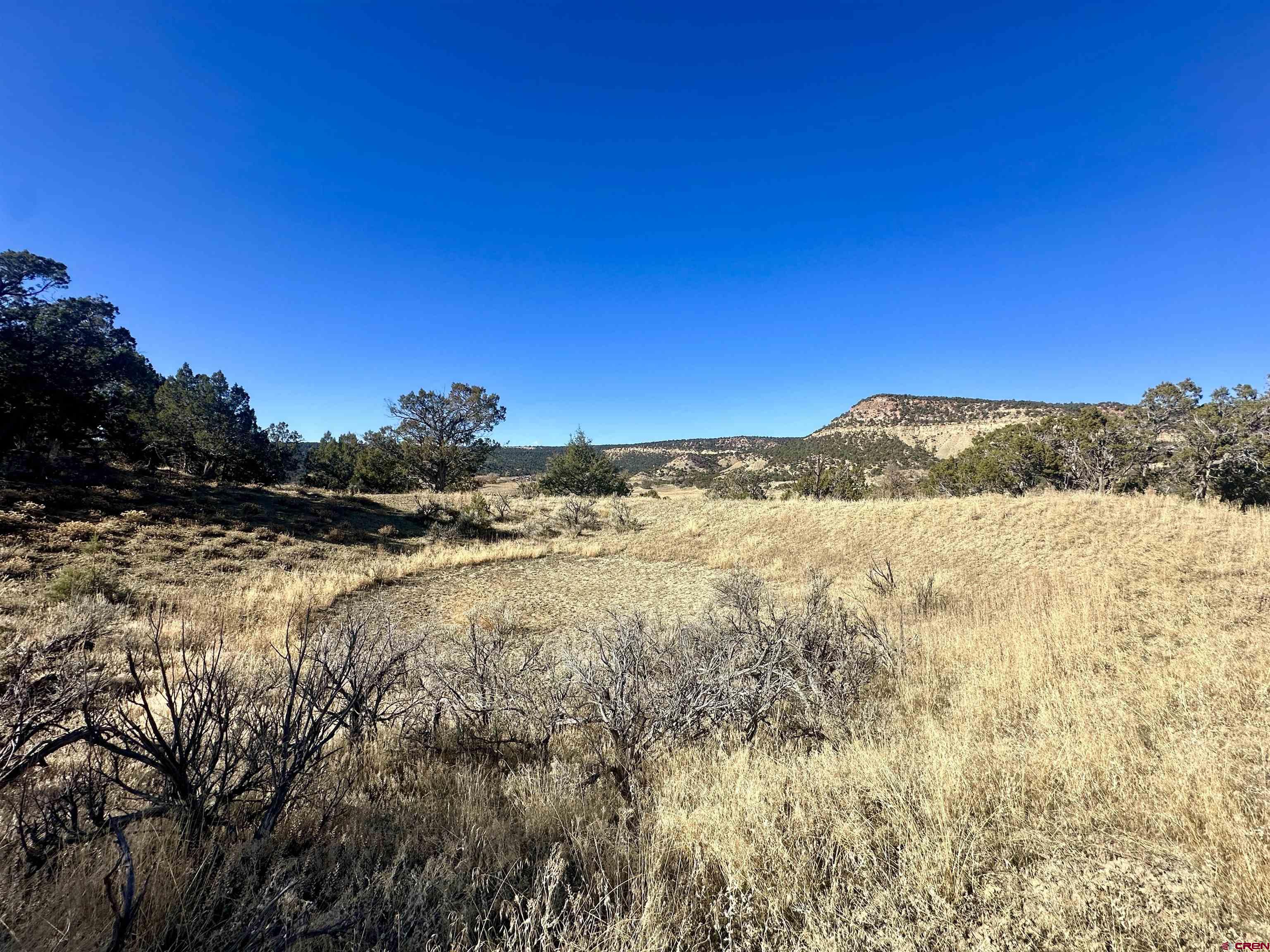 Tbd Cactus Park Road Cedaredge, CO 81413 - Photo 6 of 16 a view of lake view and mountain