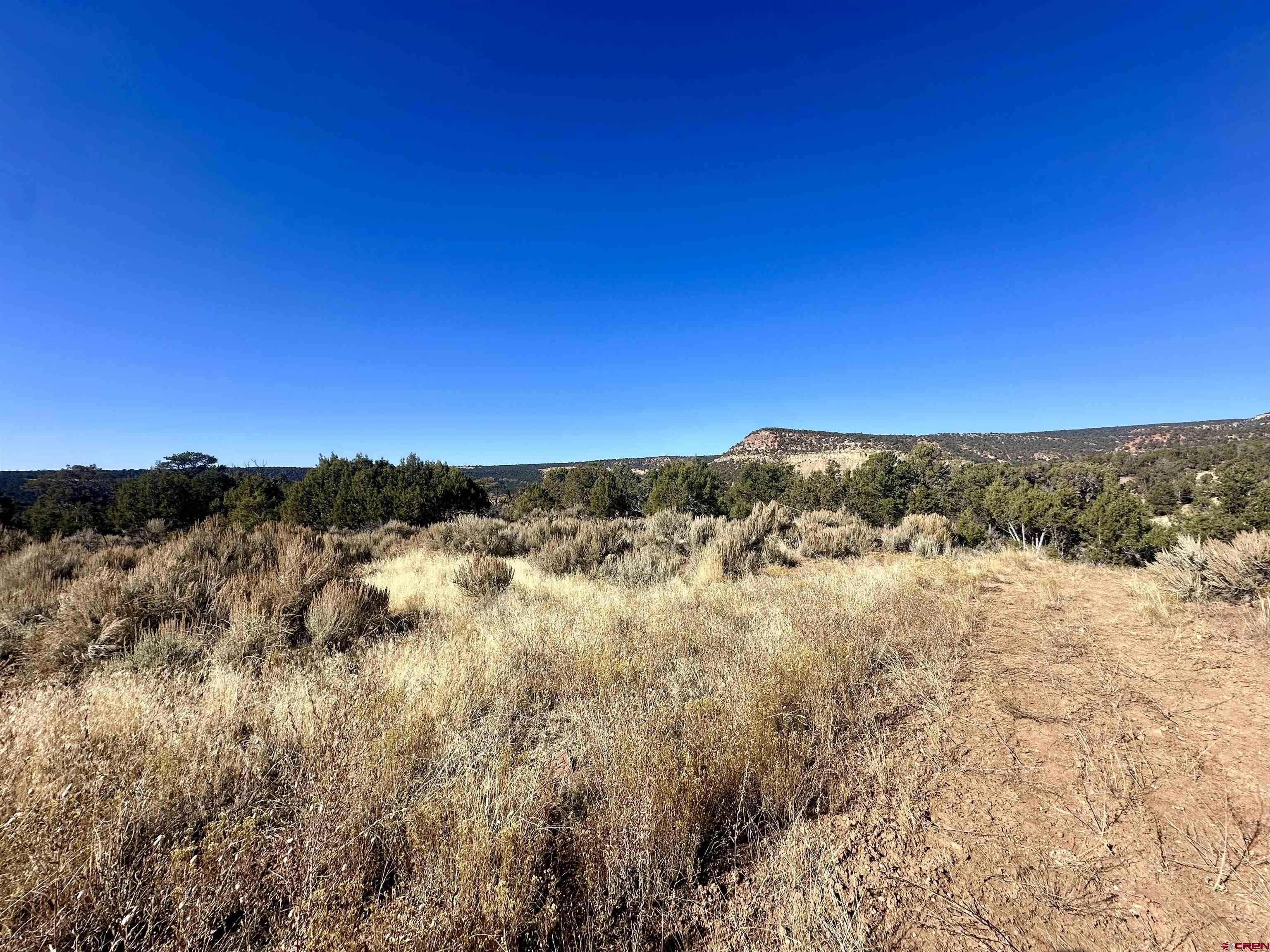 Tbd Cactus Park Road Cedaredge, CO 81413 - Photo 8 of 16 a view of mountain view and mountain