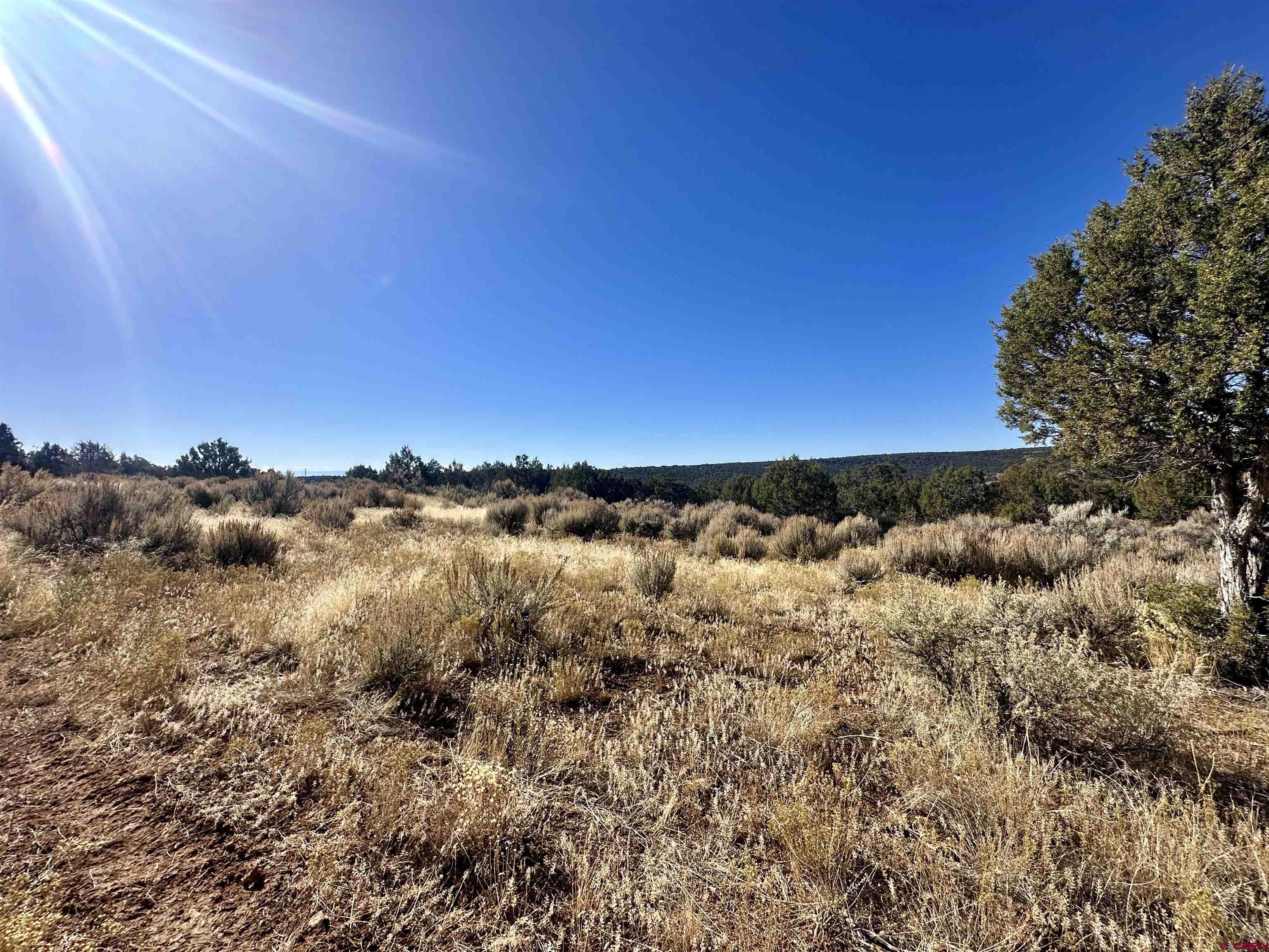 Tbd Cactus Park Road Cedaredge, CO 81413 - Photo 9 of 16 a view of a building in the background