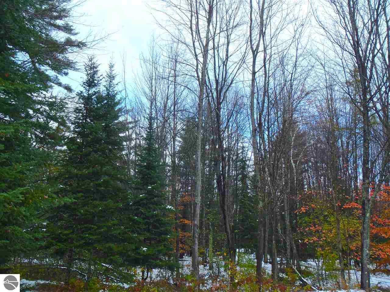 2535 Sigma Road Southeast Kalkaska, MI 49646 - Photo 44 of 50 1778078-43.JPG