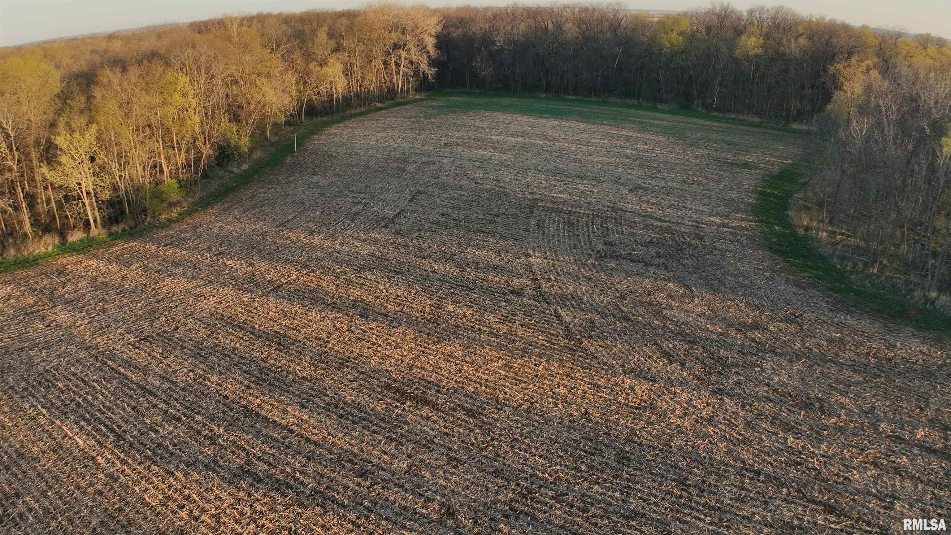 2867 40th Street Little York, IL 61453 - Photo 11 of 56