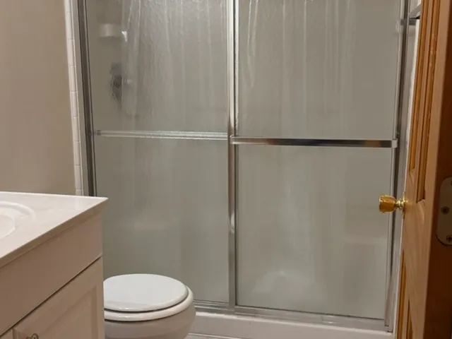 a bathroom with a shower and a toilet