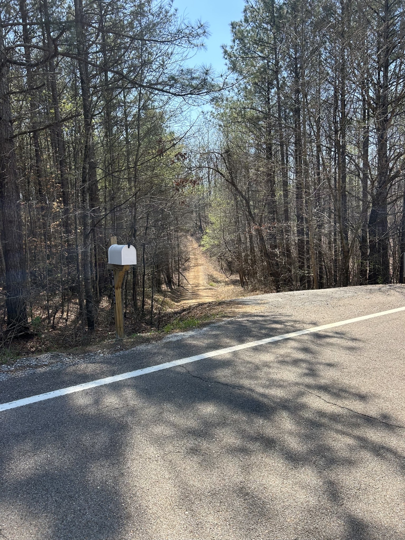 2023 Wayland Springs Road Iron City, TN 38463 - Photo 18 of 45 a view of street along with trees