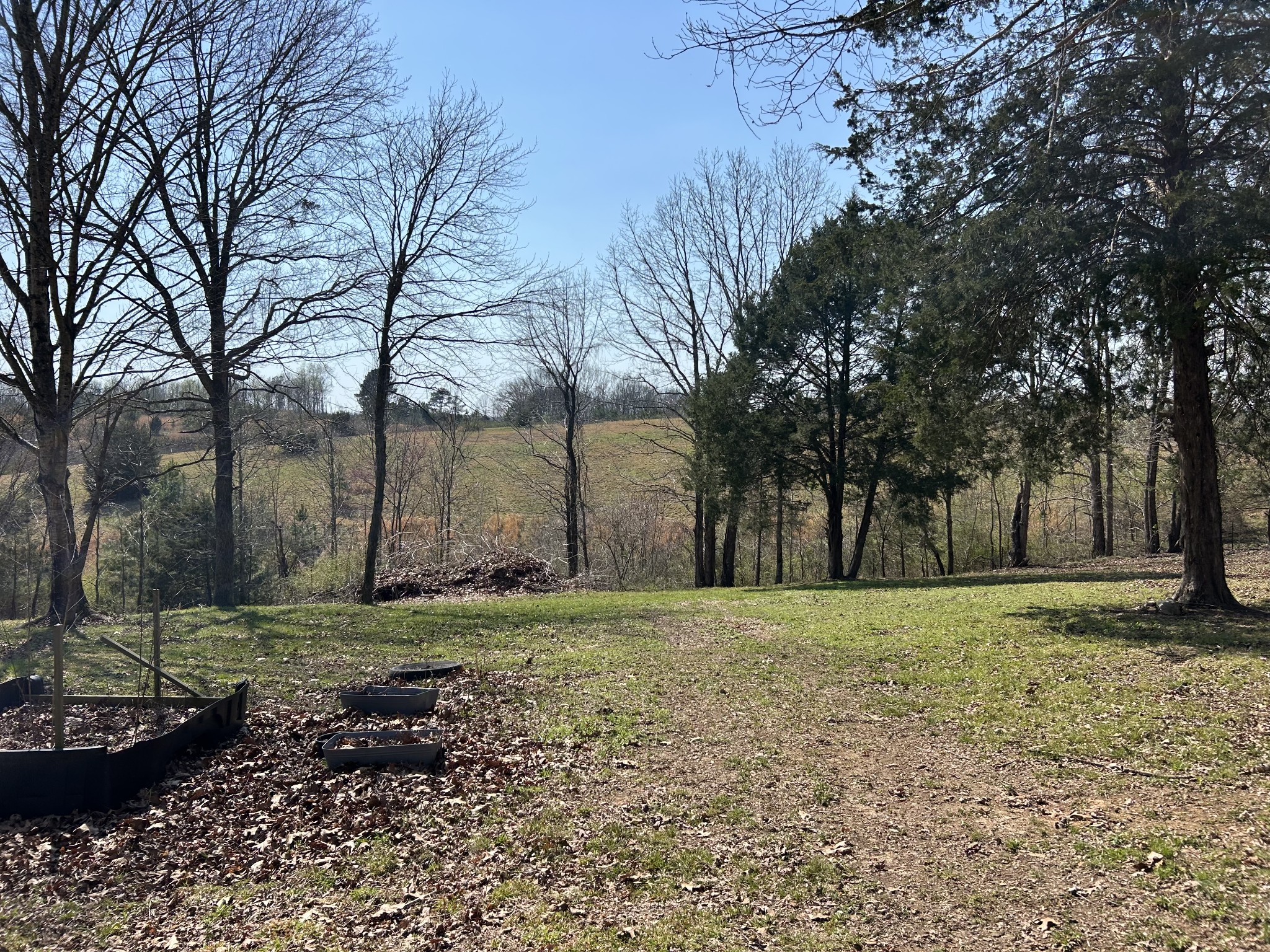 2023 Wayland Springs Road Iron City, TN 38463 - Photo 28 of 45 a big yard with trees