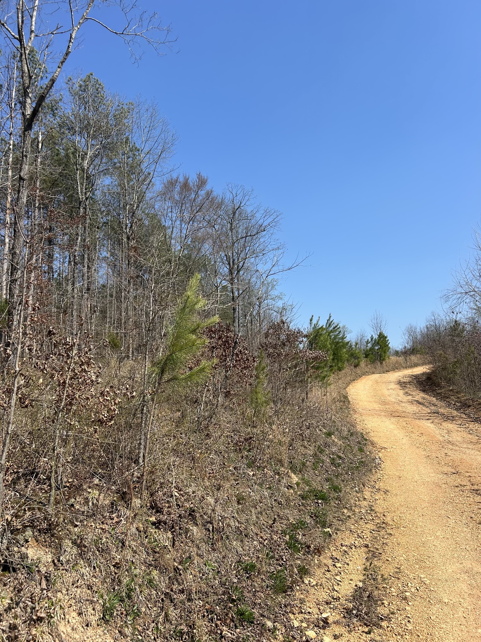 2023 Wayland Springs Road Iron City, TN 38463 - Photo 32 of 45 a view of an ocean view