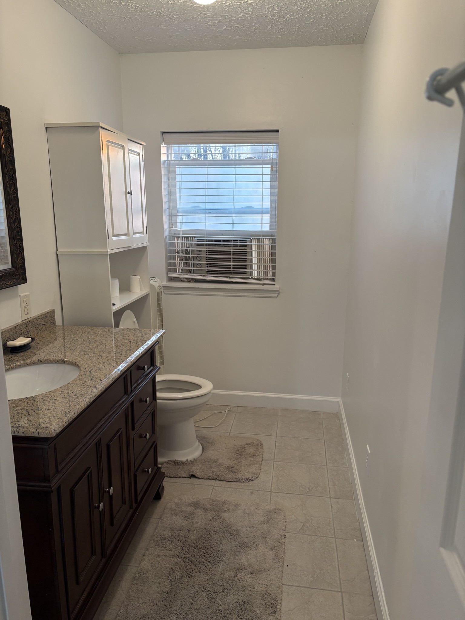 2023 Wayland Springs Road Iron City, TN 38463 - Photo 44 of 45 a bathroom with a granite countertop sink toilet a mirror and a window