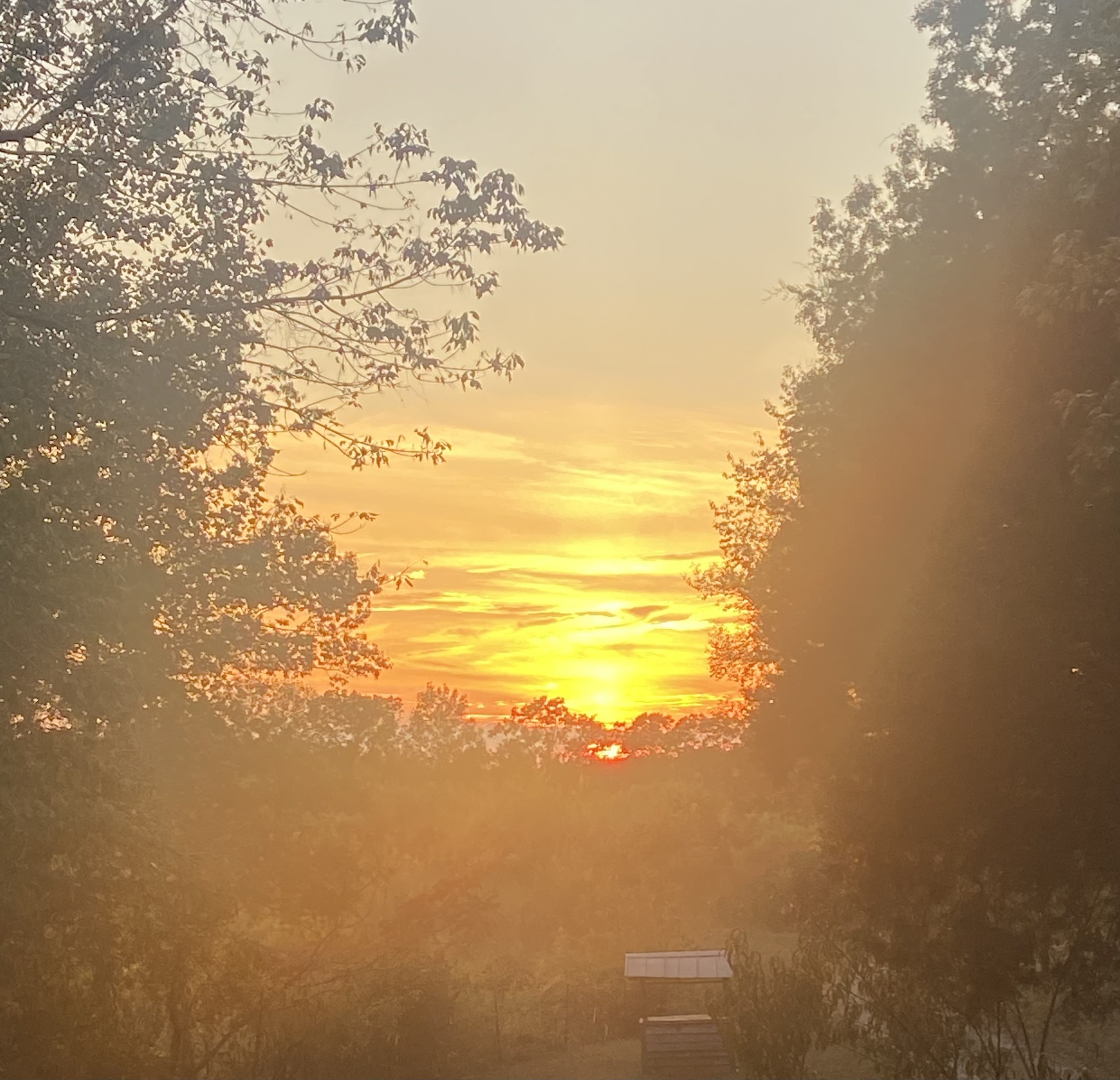 2023 Wayland Springs Road Iron City, TN 38463 - Photo 9 of 45 a view of an ocean