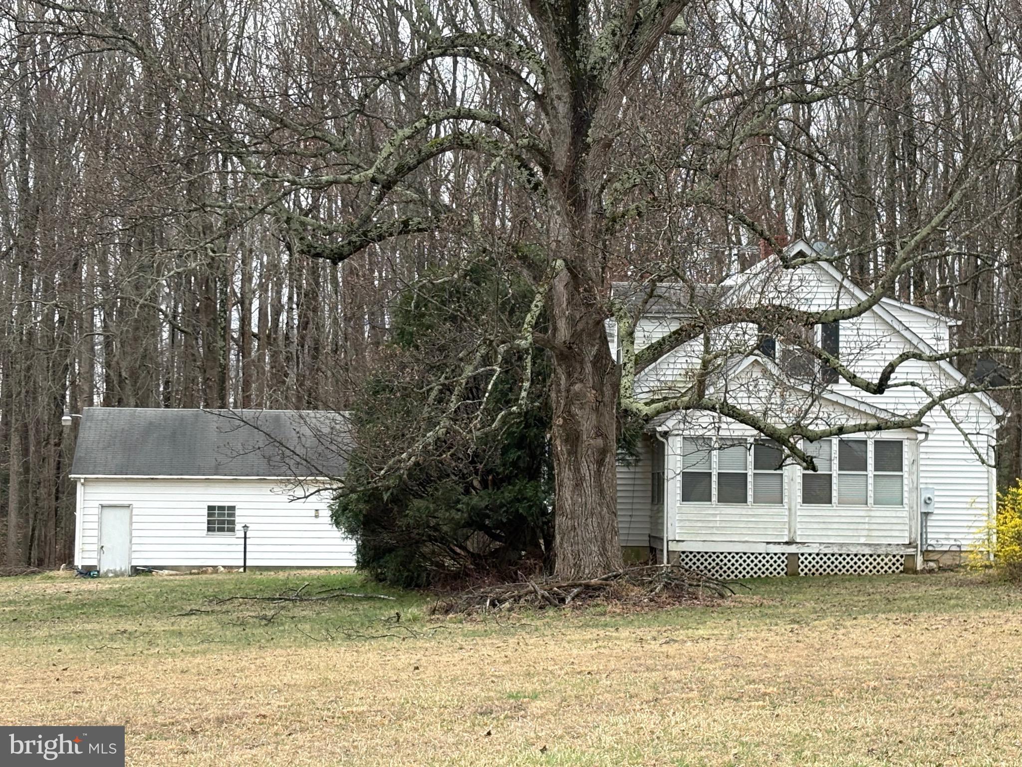 1907 Mountain View Road Stafford, VA 22554 - Photo 2 of 6 a white house that has a tree in front of it