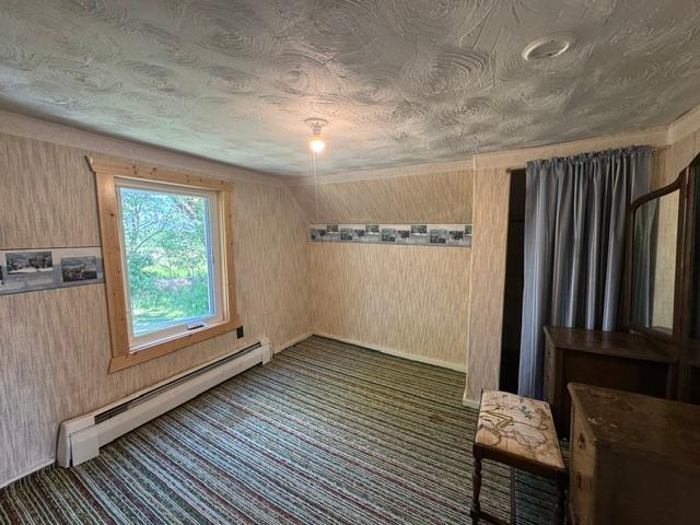 1228 Highway 71 Sebeka, MN 56477 - Photo 32 of 41