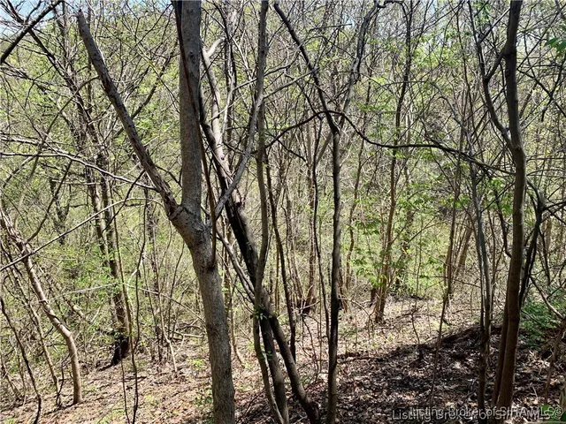 $99,000 | 0 North Skyline Drive, Floyds Knobs, IN 47150