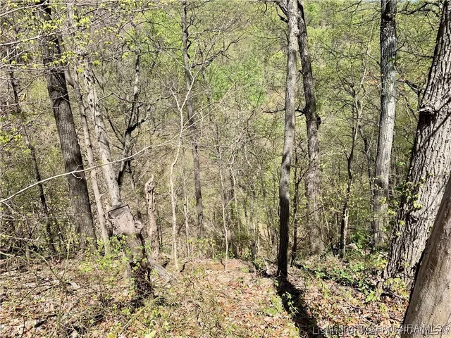 $99,000 | 0 North Skyline Drive, Floyds Knobs, IN 47150