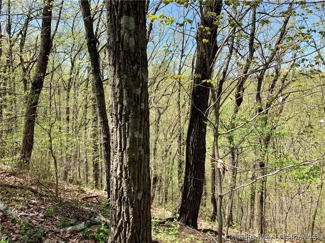 $99,000 | 0 North Skyline Drive, Floyds Knobs, IN 47150