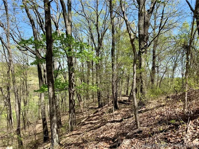 $99,000 | 0 North Skyline Drive, Floyds Knobs, IN 47150