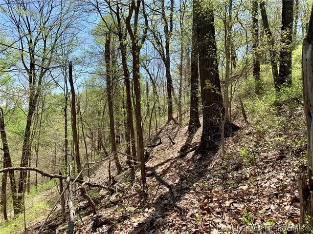 $99,000 | 0 North Skyline Drive, Floyds Knobs, IN 47150