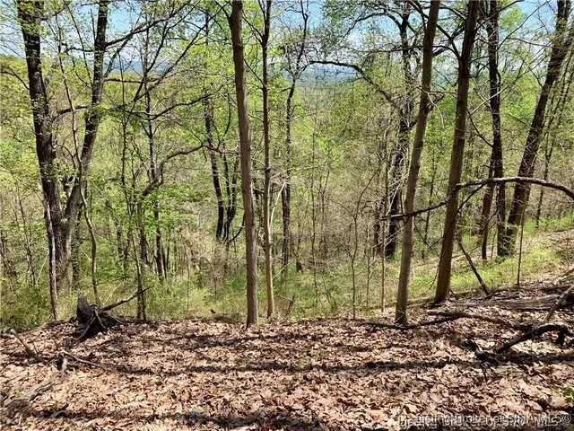 $99,000 | 0 North Skyline Drive, Floyds Knobs, IN 47150