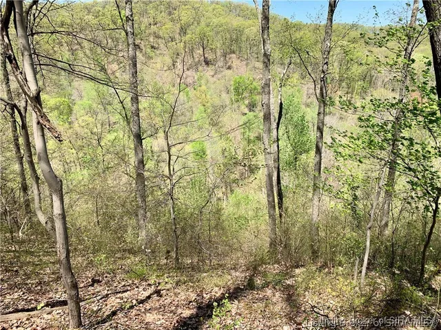 $99,000 | 0 North Skyline Drive, Floyds Knobs, IN 47150