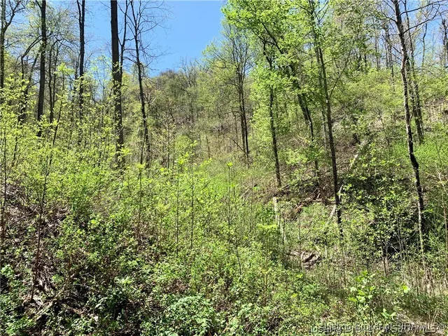 $99,000 | 0 North Skyline Drive, Floyds Knobs, IN 47150