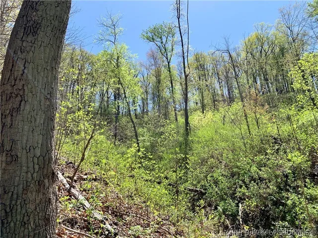 $99,000 | 0 North Skyline Drive, Floyds Knobs, IN 47150