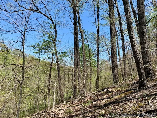 $99,000 | 0 North Skyline Drive, Floyds Knobs, IN 47150