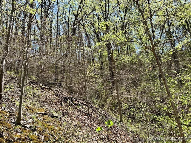 $99,000 | 0 North Skyline Drive, Floyds Knobs, IN 47150