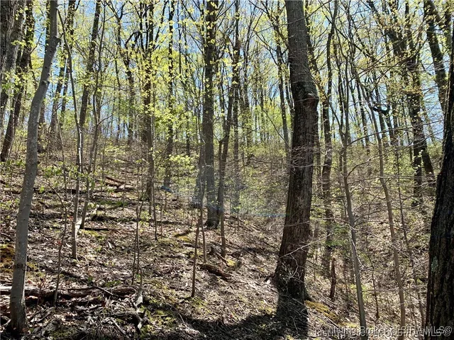 $99,000 | 0 North Skyline Drive, Floyds Knobs, IN 47150