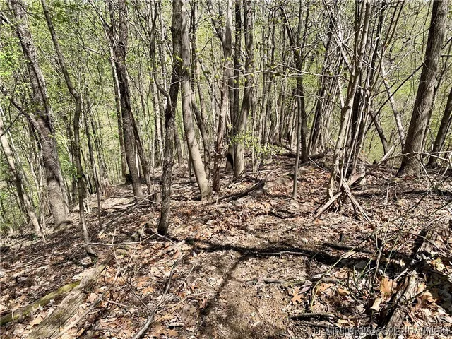 $99,000 | 0 North Skyline Drive, Floyds Knobs, IN 47150