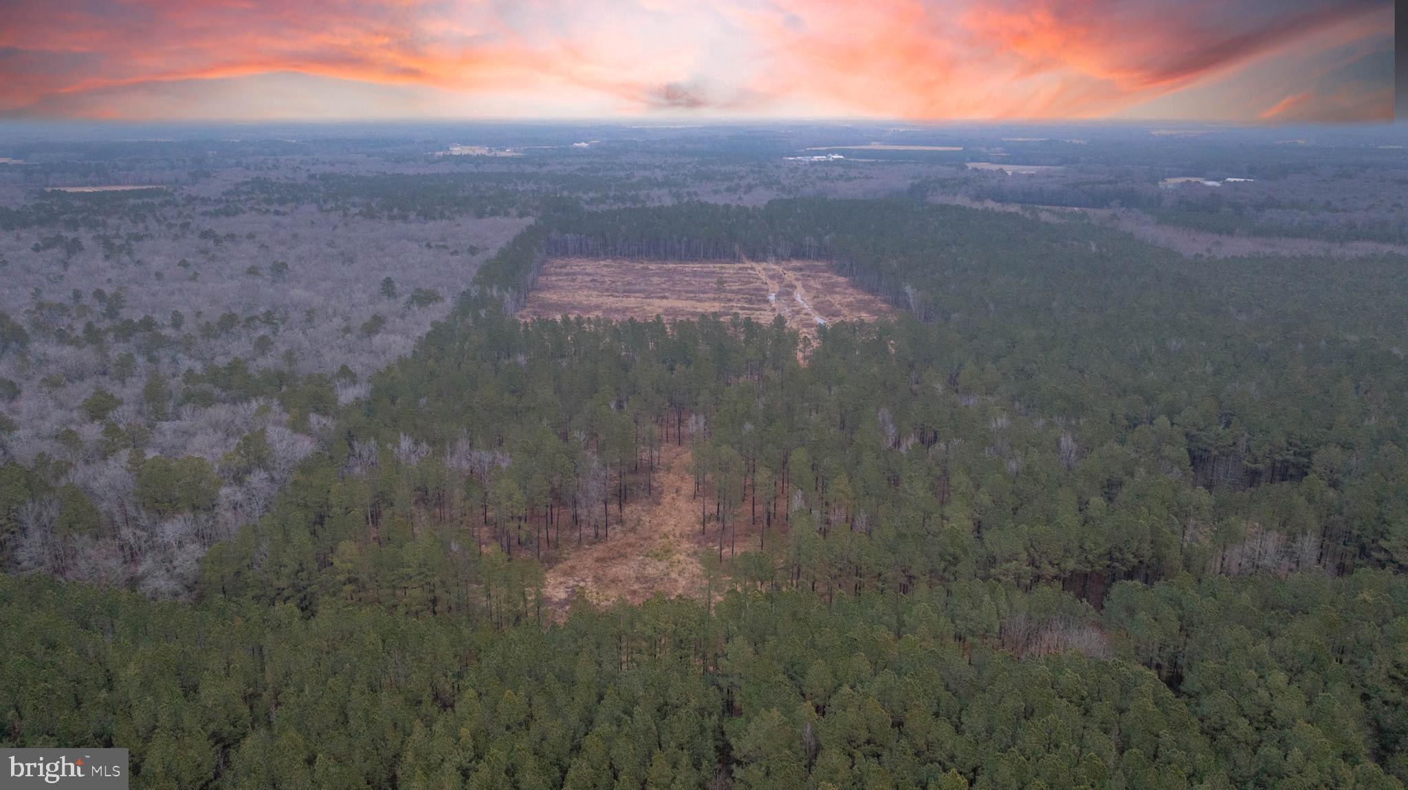 0 Little Hill Road Millsboro, DE 19966 - Photo 3 of 7 a view of a yard