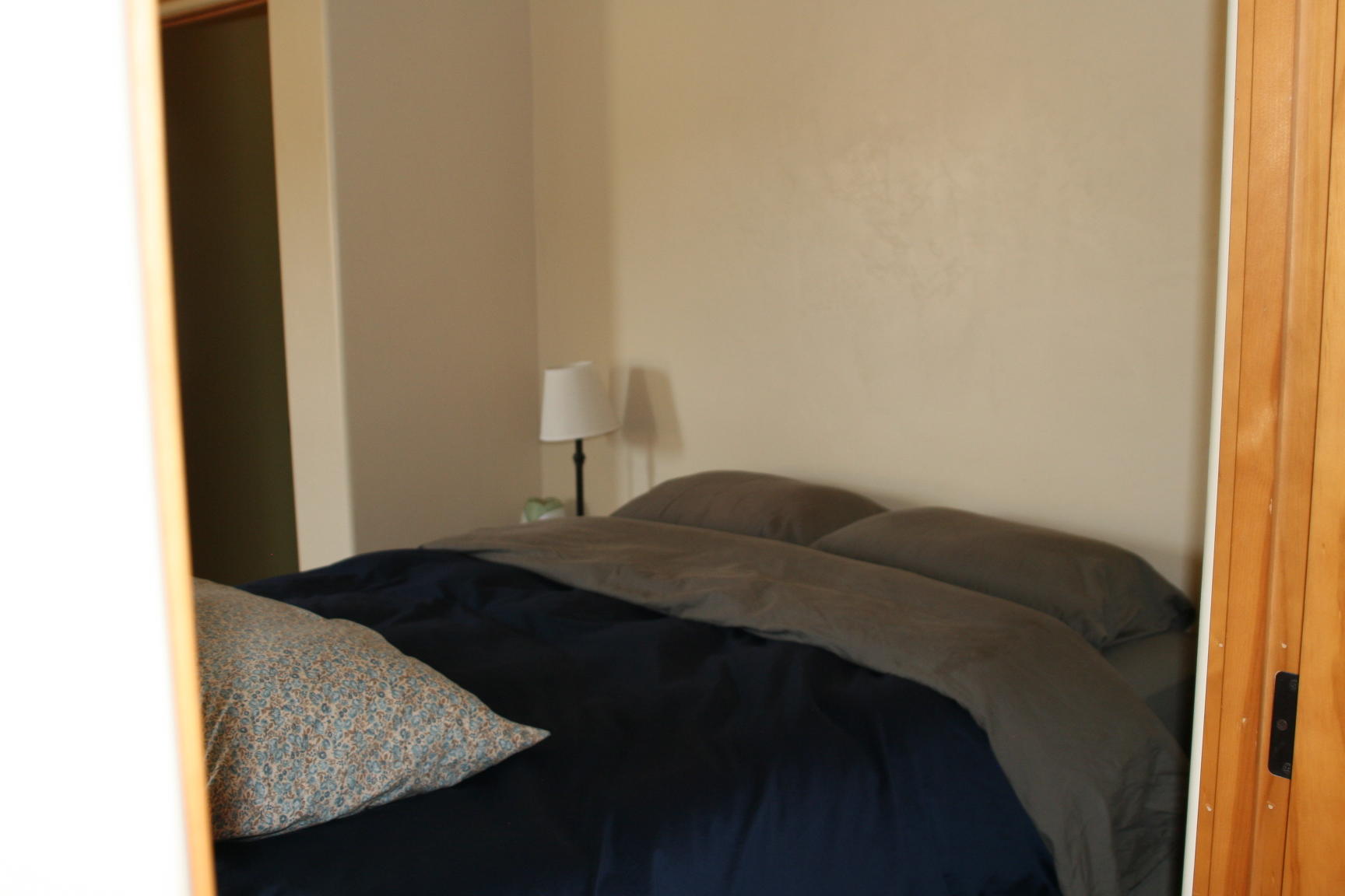 407 Kismet Street, Unit NO # Ridgway, CO 81432 - Photo 16 of 34 IMG_4189