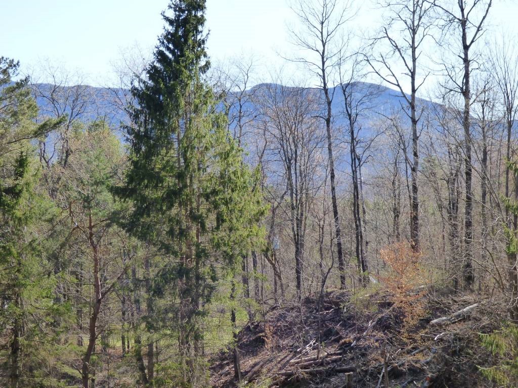 15 Range Road Underhill, VT 05489 - Photo 34 of 35 Gallery Image 34