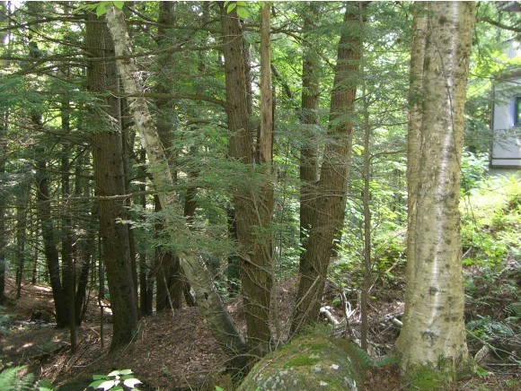179 River Ridge Road Waitsfield, VT 05673 - Photo 24 of 27