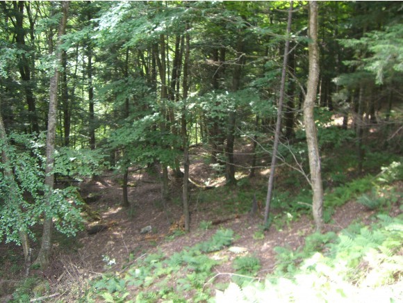 179 River Ridge Road Waitsfield, VT 05673 - Photo 26 of 27
