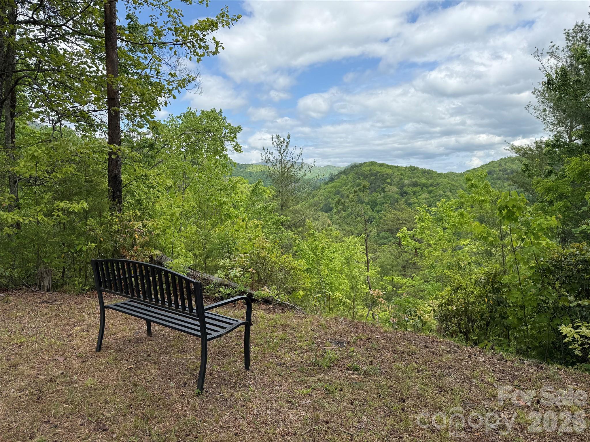 820 Shuler Lake Road Robbinsville, NC 28771 - Photo 25 of 32